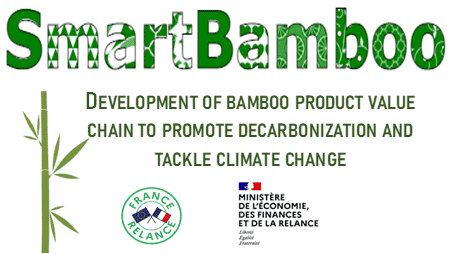 SmartBamboo_Logo