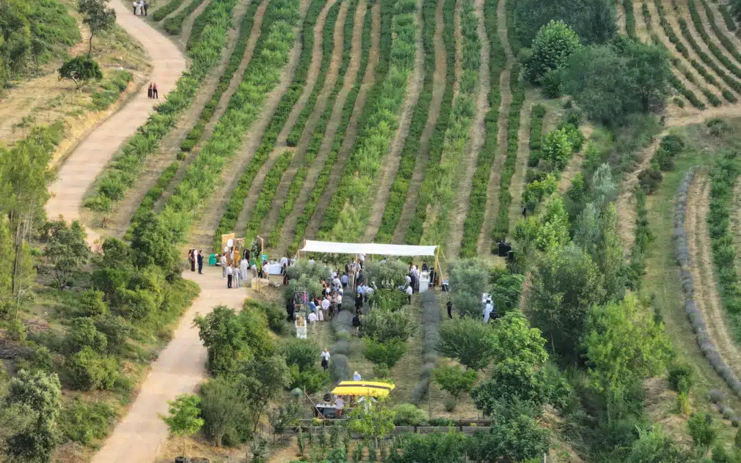 Gala de la Fondation Ceïba 2025 : Célébration de l’arbre au cœur de nos territoires