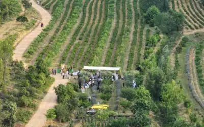 Gala de la Fondation Ceïba 2025 : Célébration de l’arbre au cœur de nos territoires