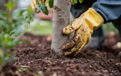 Sondage européen ForestAgriGreenNudge – Aidez-nous à façonner l’agriculture et la sylviculture de demain
